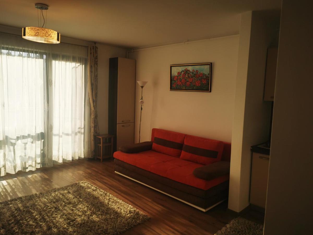 Апартаменти Studio Green Тиргу-Муреш Номер фото